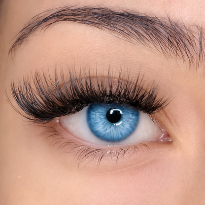 No. 7 LASHORA Boston